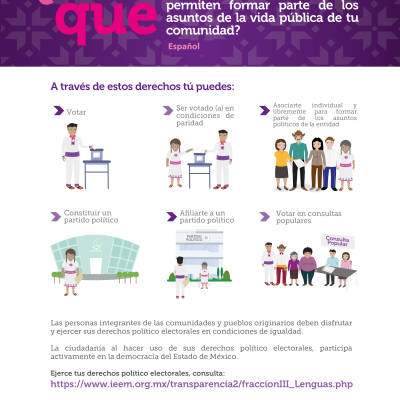 Ut Derechos Politico Electorales Infografia Espanol