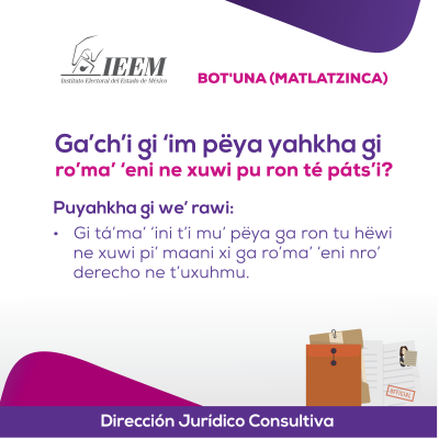 Delitos Electorales Matlatzinca 16