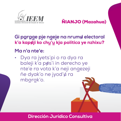 Delitos Electorales Mazahua 15