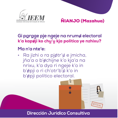 Delitos Electorales Mazahua 16