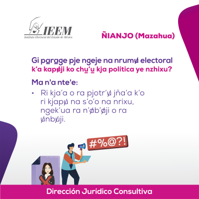 Delitos Electorales Mazahua 17