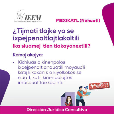 Delitos Electorales Nahuatl 17