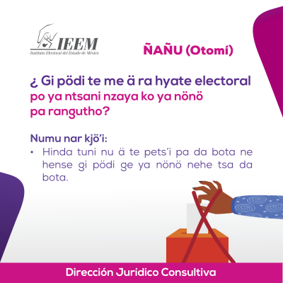 Delitos Electorales Otomi 15
