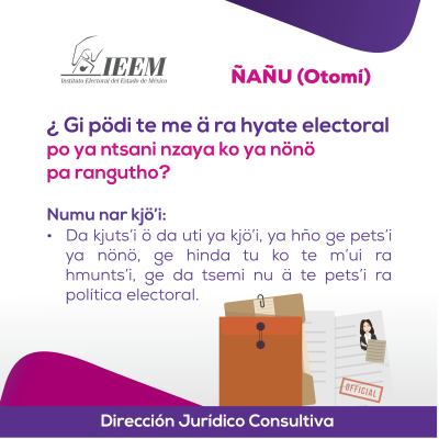Delitos Electorales Otomi 16