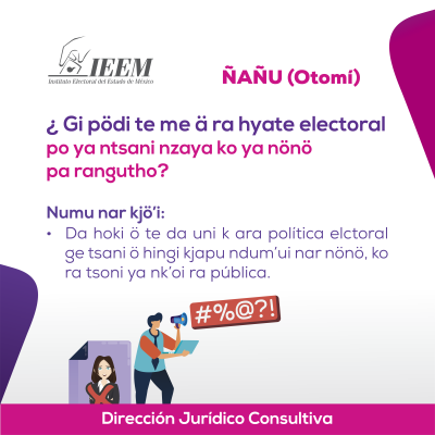Delitos Electorales Otomi 17