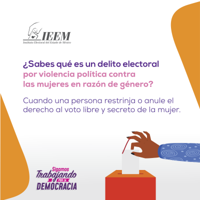 Delitos Electorales Vpm 01