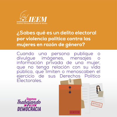 Delitos Electorales Vpm 02