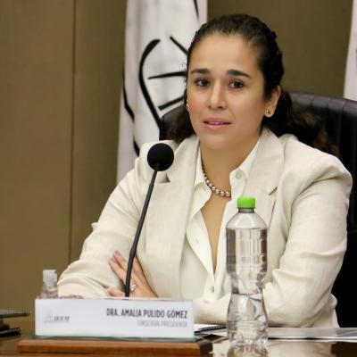 Amalia Pulido Gómez