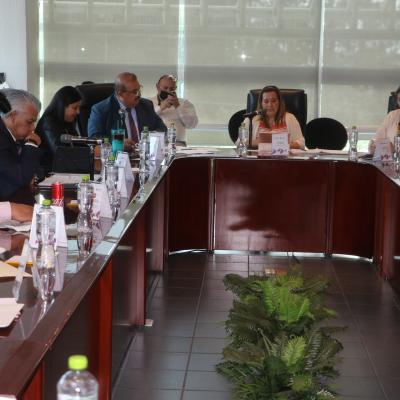 Comisión de Organización