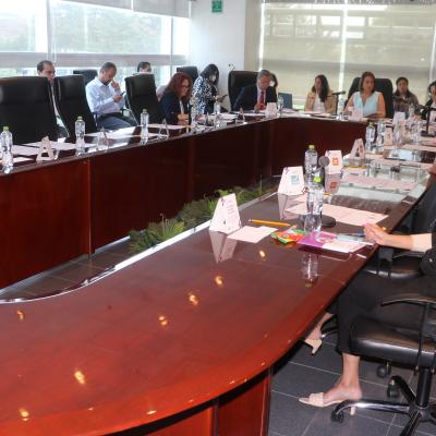 Comisión de Promoción y Difusión de la Cultura Política y Democrática