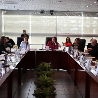 Comisión de Igualdad de Género y No Discriminación