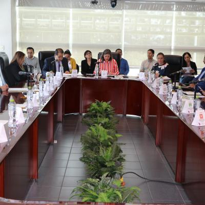Comisión Especial de Vinculación con Órganos Desconcentrados del IEEM