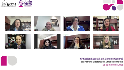 COORDINACIÓN INE – IEEM CLAVE PARA EL ÉXITO DE LA ELECCIÓN DEL 1 DE JUNIO: AMALIA PULIDO