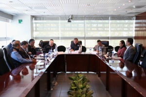 REFUERZAN COMITÉS DEL IEEM TRABAJOS PARA IMPULSAR LA DEMOCRACIA