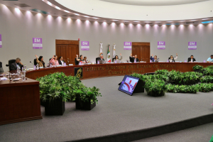 APRUEBA IEEM TOPES DE GASTOS DE CAMPAÑA PARA LA ELECCIÓN 2024