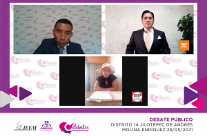 LEGISLAR A FAVOR DE LOS GRUPOS VULNERABLES: PROPUESTA DE LAS CANDIDATURAS A LA DIPUTACIÓN POR EL DISTRITO 14 DE JILOTEPEC
