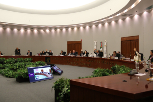IEEM DESIGNA CONSEJERÍAS Y VOCALÍAS DISTRITALES Y MUNICIPALES PARA EL PROCESO ELECTORAL 2024