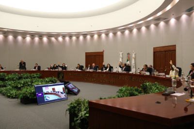 IEEM DESIGNA CONSEJERÍAS Y VOCALÍAS DISTRITALES Y MUNICIPALES PARA EL PROCESO ELECTORAL 2024