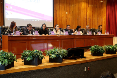 CAPACITAN A AUTORIDADES ELECTORALES Y PARTIDOS PARA ATENDER Y COMBATIR LA VIOLENCIA POLÍTICA POR RAZÓN DE GÉNERO