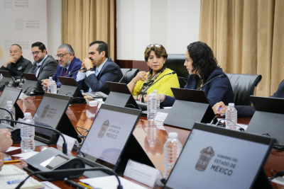 IEEM LISTO PARA EL PRÓXIMO DOMINGO: AMALIA PULIDO