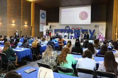 IEEM PRESENTA LA RED DE CANDIDATAS Y RED DE MUJERES ELECTAS A MILITANTES DE PARTIDOS POLÍTICOS