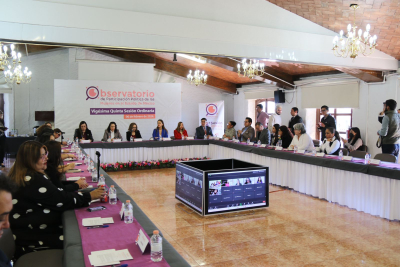 IEEM BUSCARÁ QUE PARTICIPACIÓN DE LAS MUJERES  SEA IGUALITARIA: AMALIA PULIDO