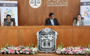 GARANTIZADO EL VOTO LIBRE  Y SIN CONDICIONAMIENTOS: AMALIA PULIDO
