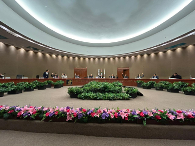 CONSEJO GENERAL NOMBRA REPRESENTANTE DEL IEEM  ANTE GRUPO DE TRABAJO DEL INE SOBRE VOTO EN EL EXTRANJERO
