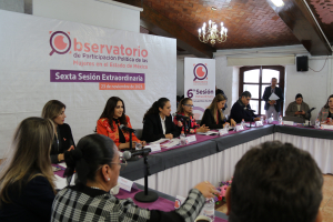 OBSERVATORIO DE PARTICIPACIÓN POLÍTICA COMPROMETIDO CON UN PROCESO ELECTORAL 2024 LIBRE DE VIOLENCIA CONTRA LAS MUJERES
