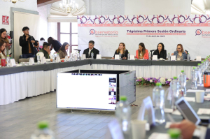 OBSERVATORIO DE PARTICIPACIÓN POLÍTICA DE LAS MUJERES EN EL ESTADO DE MÉXICO APRUEBA PROGRAMA DE TRABAJO 2025