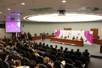 EL IEEM ES GRANDE POR LA CALIDAD Y ENTREGA DE SU PERSONAL:  AMALIA PULIDO