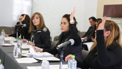 APRUEBA IEEM PROGRAMA EDITORIAL DEL CENTRO DE FORMACIÓN Y DOCUMENTACIÓN ELECTORAL 2025