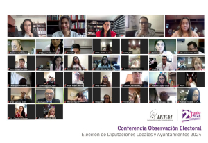 LA OBSERVACIÓN ELECTORAL REFUERZA LA TRANSPARENCIA DEL PROCESO: AMALIA PULIDO